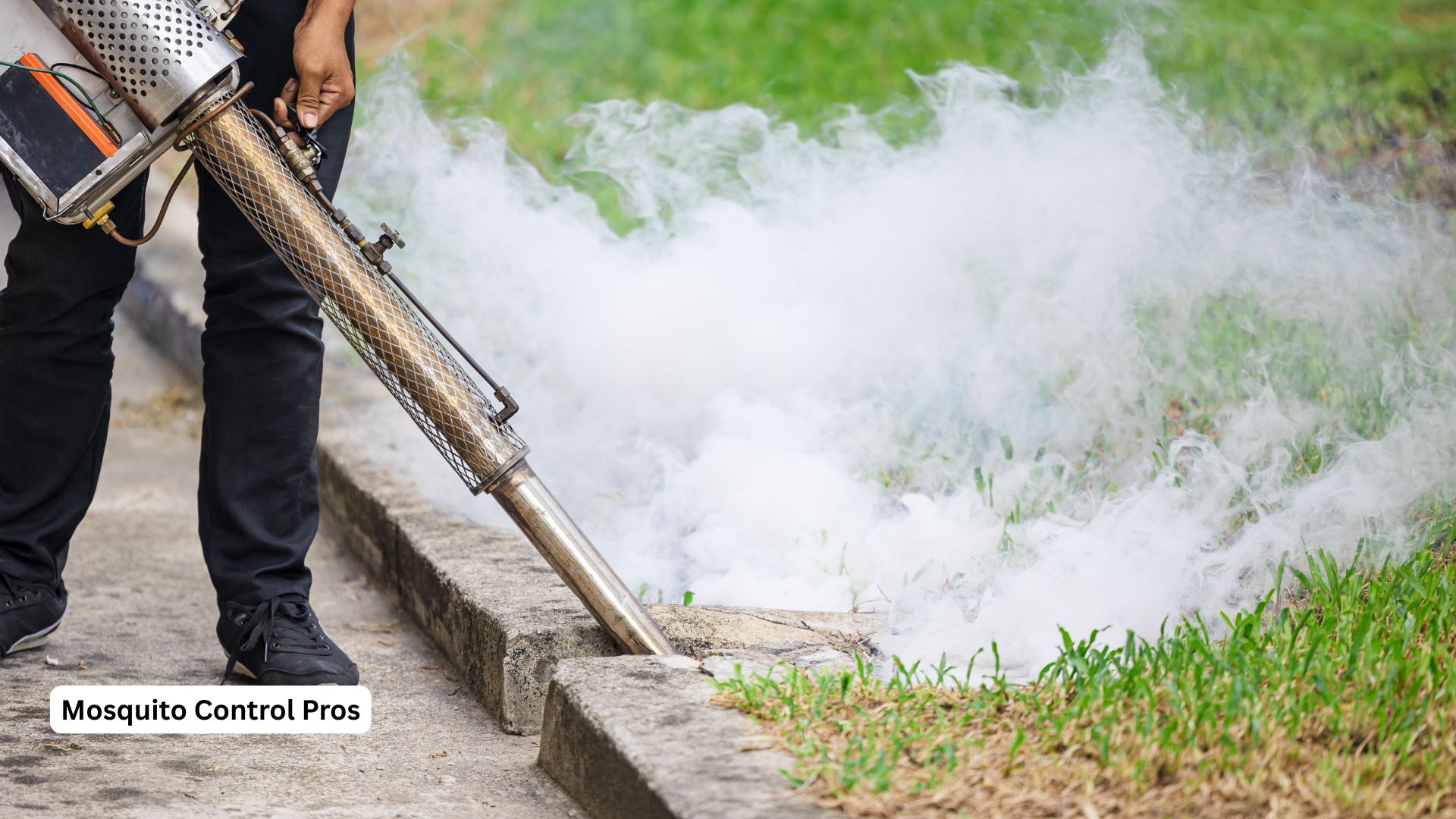 Boat lift mosquito control Tavares lakefront
